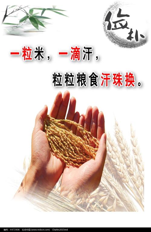 不动产登记证明去哪开